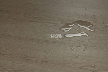 Tarkett Funky House Ricon фото 10 | FLOORDEALER